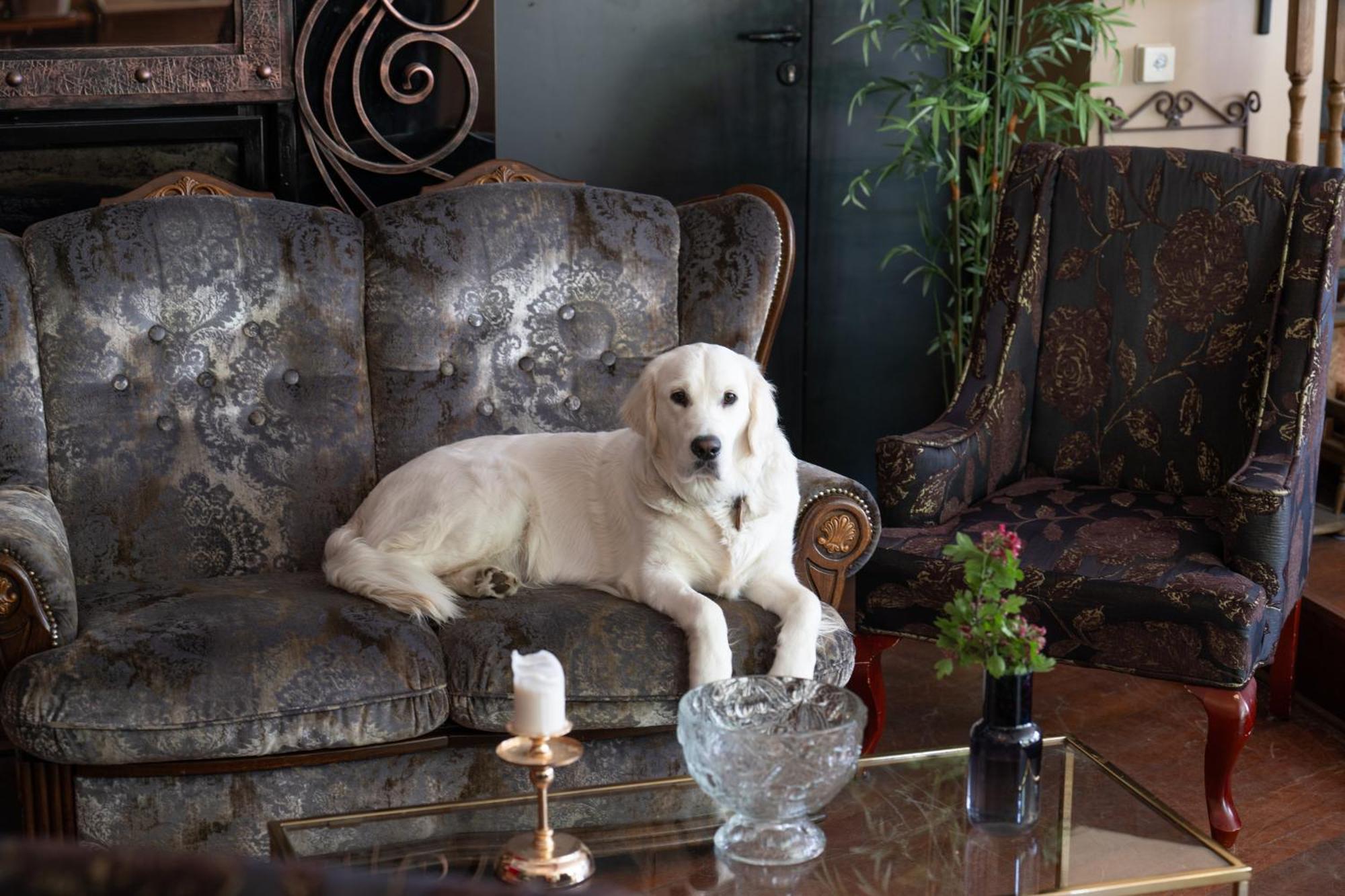 Paivilla Boutique Bed & Breakfast *
